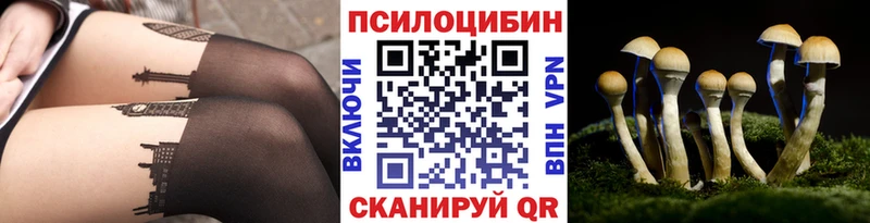 площадка формула  наркота  Тула  Галлюциногенные грибы Cubensis 